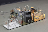 Micah Schippa-Wildfong, <em>A snake whose mouth is perfect (7 scenes produced remotely)</em>, antique Kodak Agfa Ansco box camera, sheet music ash, various light fixtures & bulbs, decanter with iodine, super8 film viewer, quartz clock movement mechanism & clock hands, various glassware, photograph of soldiers, glue, salt, saltwater, lacrimal solution (false tears formulated by the artist), red vermouth, lighting dimmer, typewriter, ink, speakers, doorhandle, thermometer parts (all objects found), dimensions variable, 2026 – Thumbnail preview