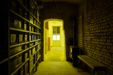 James Lewis, <em>Living Stone</em>, Installation view, Pech, Vienna, 2024 – Thumbnail preview