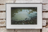 Jim C. Nedd,<em> Backyard</em>,<em> </em>2025, Photo print on baryta 30 x 20 cm, Size in frame 42 x 29,7 cm – Thumbnail preview