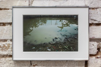Jim C. Nedd,<em> Backyard</em>,<em> </em>2025, Photo print on baryta 30 x 20 cm, Size in frame 42 x 29,7 cm – Thumbnail preview