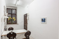 Jim C. Nedd, <em>Daddy Issues</em>, 2025, Exhibition view, Pech, Vienna – Thumbnail preview