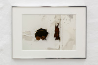 Jim C. Nedd,<em> Porch</em>,<em> </em>2025, Photo print on baryta 30 x 20 cm, Size in frame 42 x 29,7 cm – Thumbnail preview