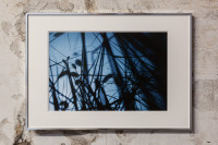 Jim C. Nedd,<em> Garden</em>,<em> </em>2025, Photo print on baryta 30 x 20 cm, Size in frame 42 x 29,7 cm – Thumbnail preview