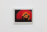 Laurids Oder, <em>Untitled (Hagebutte)</em>, 2026, C-Print mounted in artist frame, 11 × 14.5 × 2.5 cm – Thumbnail preview