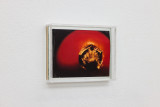 Laurids Oder, <em>Untitled (Hagebutte)</em>, 2026, C-Print mounted in artist frame, 11 × 14.5 × 2.5 cm – Thumbnail preview