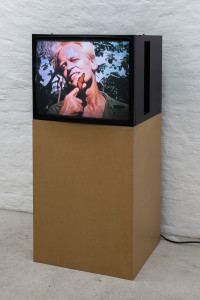 N.I.C.J.O.B., <em>Amant/Aimant</em>, 2000, DV Pal transferred on DVD, 00 m 12 s (05 m 00 s looped) – Thumbnail preview