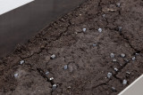 Rosario Aninat and Simon Shim-Sutcliffe, <em>Baby Teeth</em>, 2024, Stainless steel, dirt, typographic sorts (detail) – Thumbnail preview