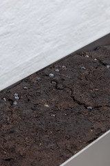 Rosario Aninat and Simon Shim-Sutcliffe, <em>Baby Teeth</em>, 2024, Stainless steel, dirt, typographic sorts (detail) – Thumbnail preview