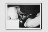 Samuel Haitz, <em>Blowjob</em>, 2026, Silver-gelatin print on baryta paper, framed, 69,2 × 93,7 cm (Print: 59,4 × 84,1 cm) – Thumbnail preview